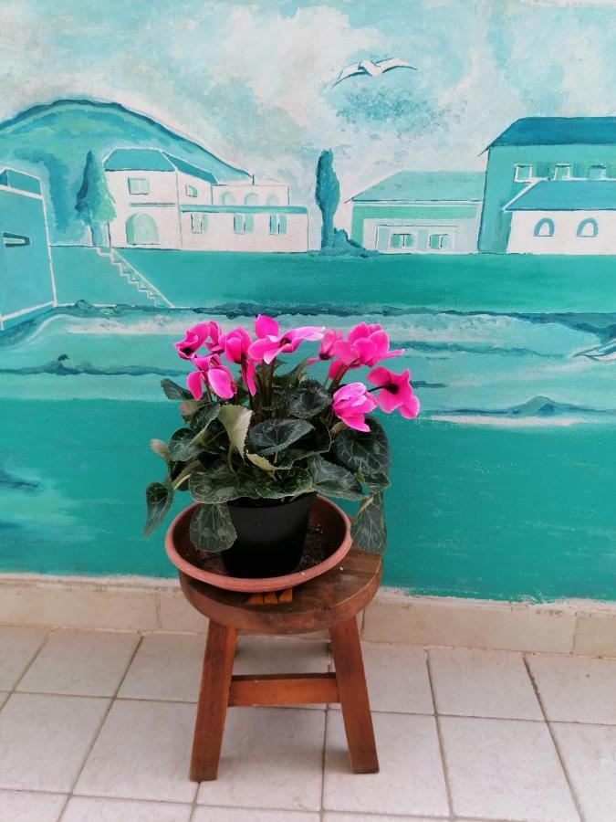 B&B Il Giardinetto 알게로 외부 사진