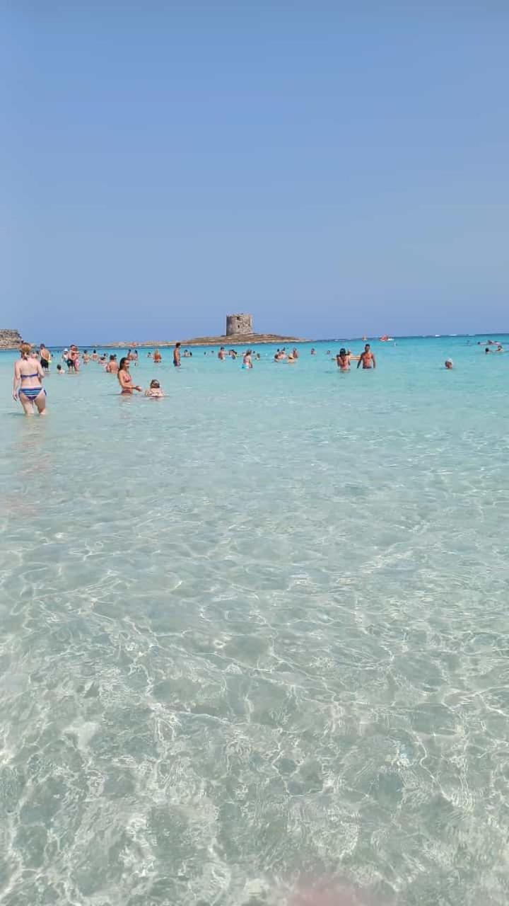 B&B Il Giardinetto 알게로 외부 사진